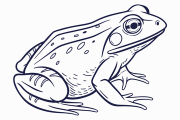 Hand-Drawn Frog Outline Illustration
