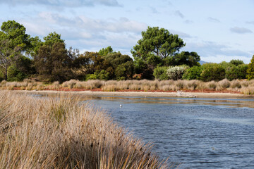 Tranquil pond in the Duck Park - Swansea, Tasmania, Australia