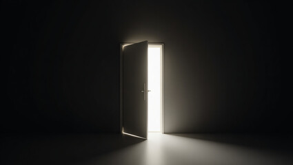 door to the light