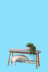Grey bench with houseplant and cushion on blue background