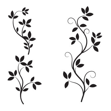 Elegant black leafy vine ornament set designs for decorative floral elements and graphic art