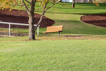 empty bench in the park at geelong