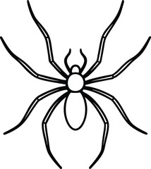 Obraz premium Black widow spider isolated on white background, a scary insect symbol