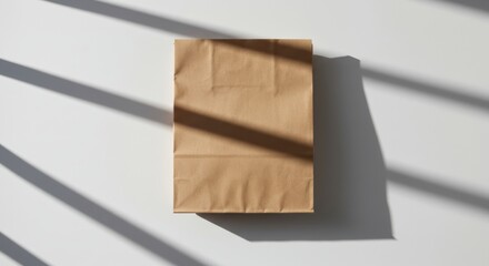 Simple Brown Paper Bag with Dramatic Shadows