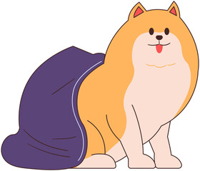 Dog Wearing a Blanket