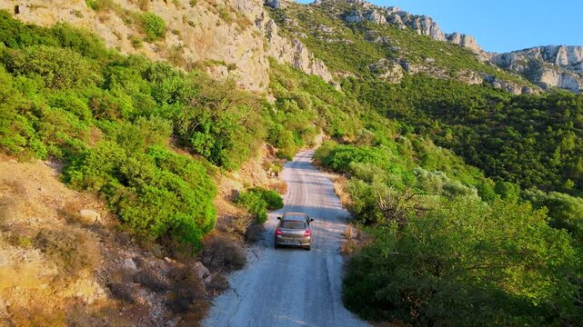 The image features a car driving down a narrow, rocky road in the woods. There are pine trees lining both sides of the road. Location: Tunisia, Zaghouan.