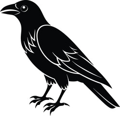 crow 