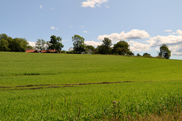 Field