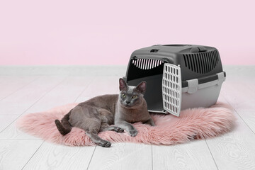 Cute cat lying near pet carrier on pink background
