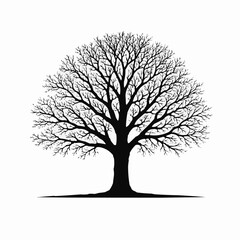 tree silhouette vector
