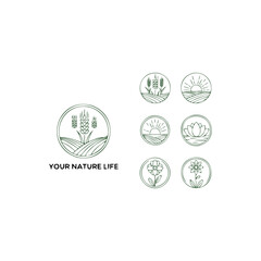 Set of vector illustration of wheat