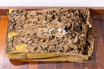 Stack of corrugated paper eaten by termite