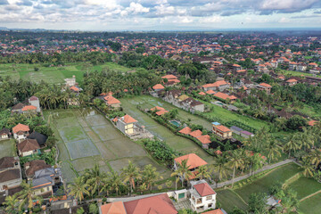 Harvested Rice Fields in Rural Bali