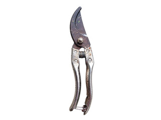 Old Rusty Garden Pruning Shears on White Background