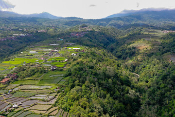 Obraz premium Sloped Rice Terraces and Traditional Balinese Houses with Tiled Roofs