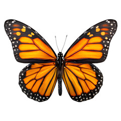 Fototapeta premium Monarch butterfly wings open transparent background