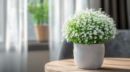 Tiny white flower plant sits on round wooden table