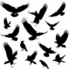 Collection of black eagle silhouettes in various flying and perching poses