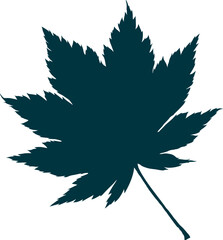 Hand-drawn maple leaf silhouette isolated on white background. Flat style vector illustration.
