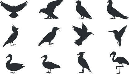 A diverse collection of bird silhouettes isolated on white background, set of silhouettes of birds