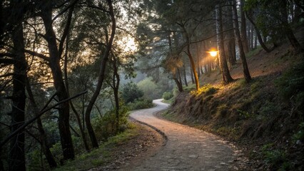 Naklejka premium Winding path through forest sunset light