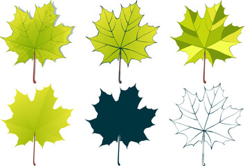 Hand-drawn green maple leaves collection isolated on white background. Flat and line and textured vector illustration.