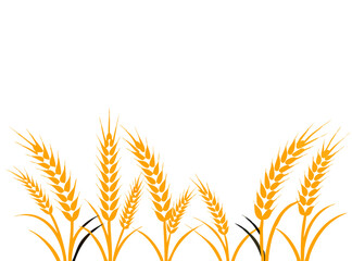 Agriculture wheat vector Illustration design template - Vector