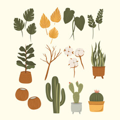 House Plant Bohemian Interior Illustration