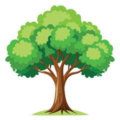 A lush vector icon of a summer tree, featuring full, green foliage and a vibrant, healthy appearance, ready for seasonal designs.