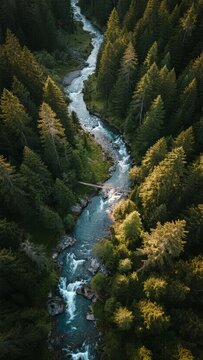 Aerial View of a Winding River Through a Lush Forest