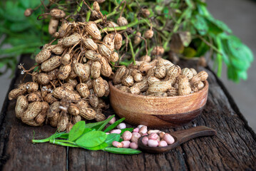 Peanuts in a peel in a wooden bowl. peeled peanut on peanut group on wooden bowl.