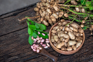Peanuts in a peel in a wooden bowl. peeled peanut on peanut group on wooden bowl.