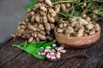 Peanuts in a peel in a wooden bowl. peeled peanut on peanut group on wooden bowl.