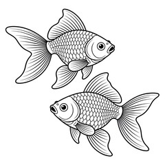 Fototapeta premium two goldfish playing in river 