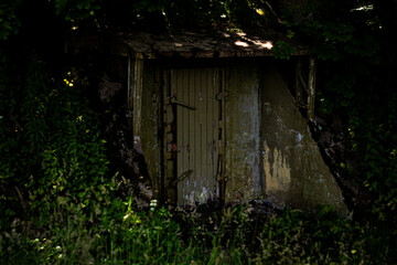 Moss-covered, weathered wooden door built into a hillside, surrounded by dense foliage and...