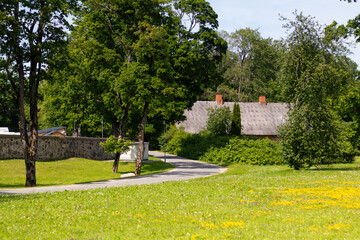 Peaceful summer scene with winding road, lush green trees, stone wall, and traditional countryside...
