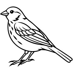 Yellowhammer Outline Bird Vector Design