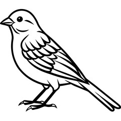 Yellowhammer Outline Bird Vector Design