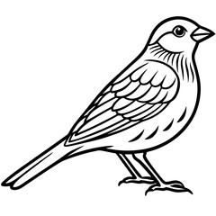 Yellowhammer Outline Bird Vector Design