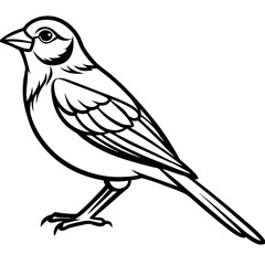 Yellowhammer Outline Bird Vector Design