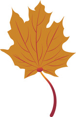 Autumn leaf color Autumn leaf color vector.