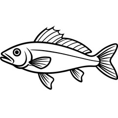 Zander Outline Drawing Monoline Vector Art