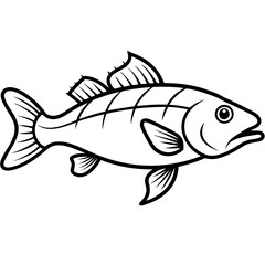 Zander Outline Drawing Monoline Vector Art