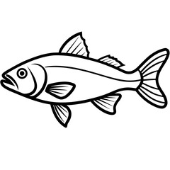 Zander Outline Drawing Monoline Vector Art