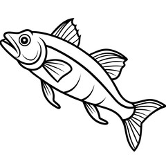 Zander Outline Drawing Monoline Vector Art