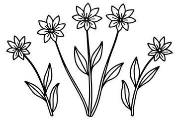 Minimalist Wildflower Botanical Line Art Illustration