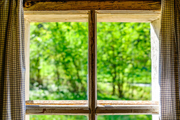 Bright sunny day with potted plants by the window in a cozy room surrounded by nature in the...
