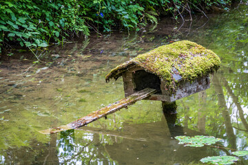 Wooden birdhouse with moss on the roof floating in calm water surrounded by lush greenery in a...