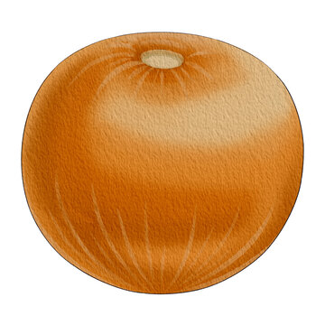 gooseberry01