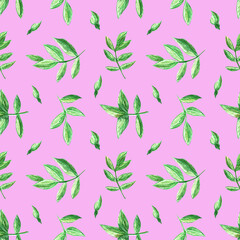 Seamless pattern with rose hip leaves on pink background. Perfect for wallpaper, gift wrap, pattern fill, web page background, summer greeting cards